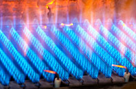 Ewshot gas fired boilers
